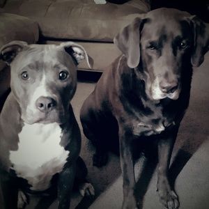 Meet your Posher, Mars